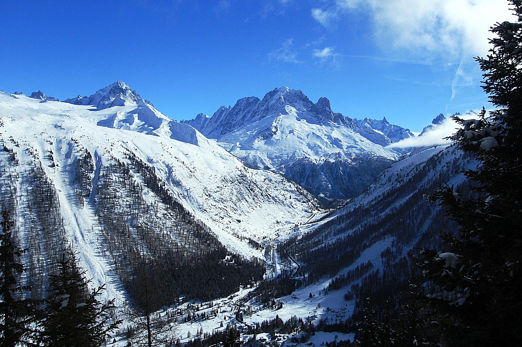 Aiguille Verte : Une vue sur le massif du Mont Blanc, notamment l'Aiguille Verte et les Grands Montets