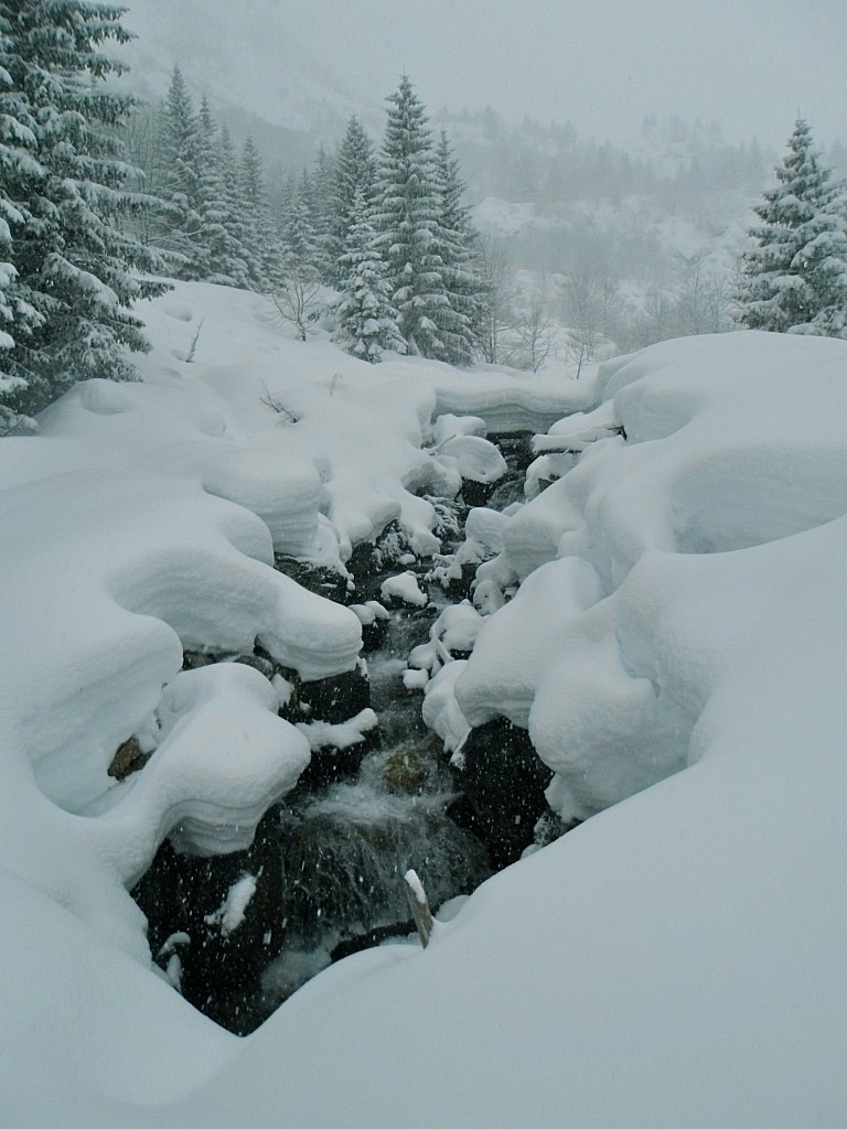 Torrent du Merlet : Paysage magique sous cette fine neige