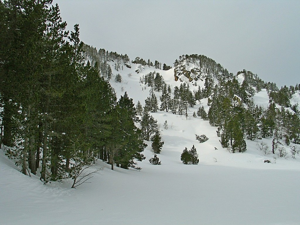 vallée de la Balmette : bonne neige .