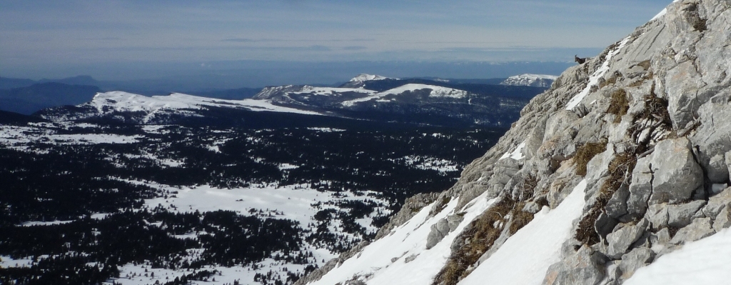 bouquetins : Sous l’œil des autochtones