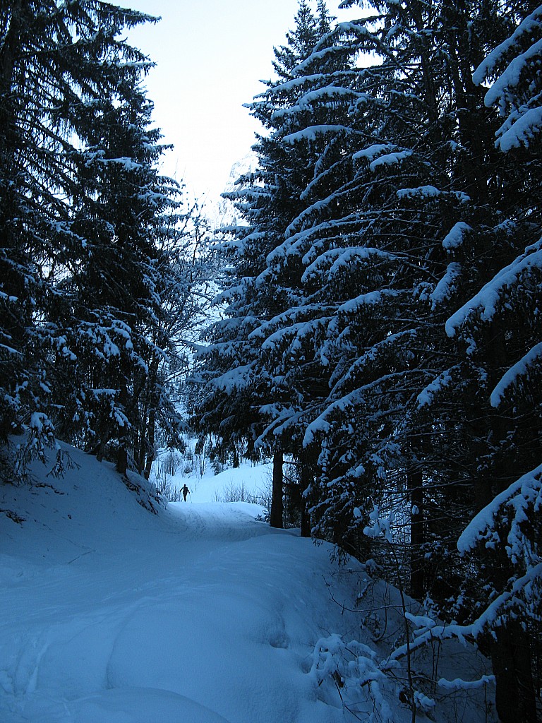 Sortie de la forêt : Sortie de la forêt, là les hostilités vont commencer!
nombreuses coulées à éviter ou à traverser pendant la montée!