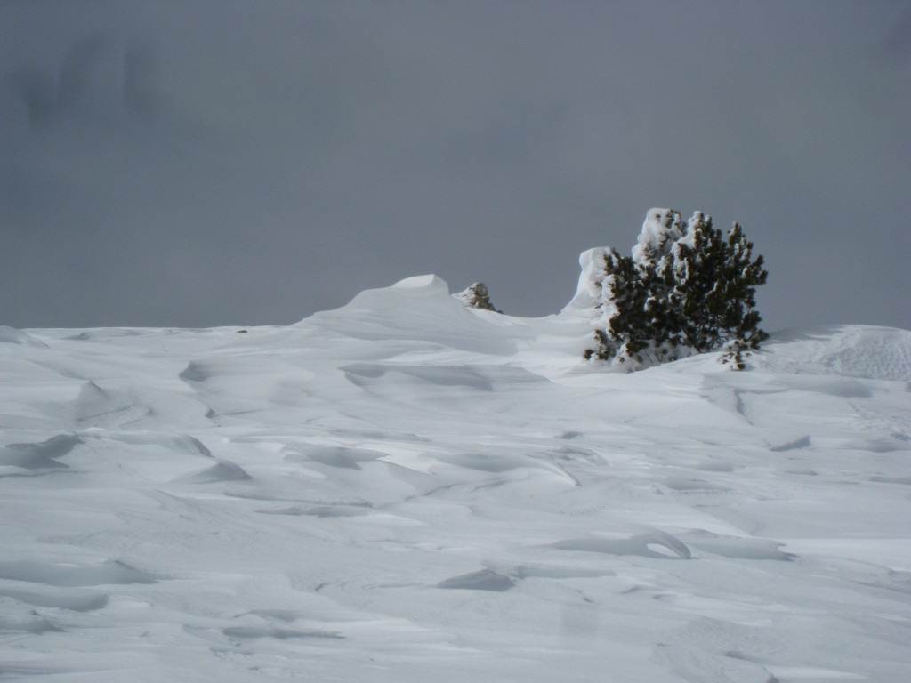 Le vent a souflé : cette nuit