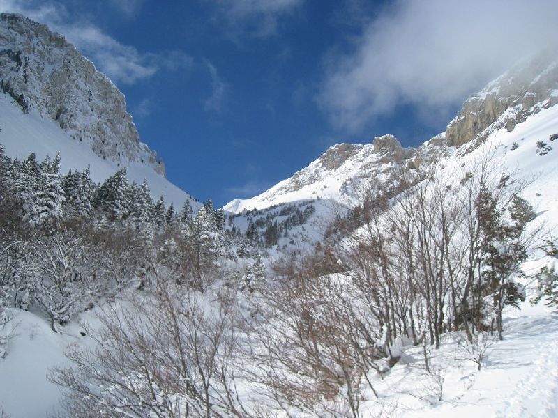Sortie de la forêt : vaut mieux éviter les pentes à droite