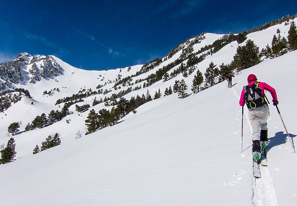 #5 Remontée au pic de Monpudou : belle montée au milieu des pins Remontée au pic de Monpudou : belle montée au milieu des pins