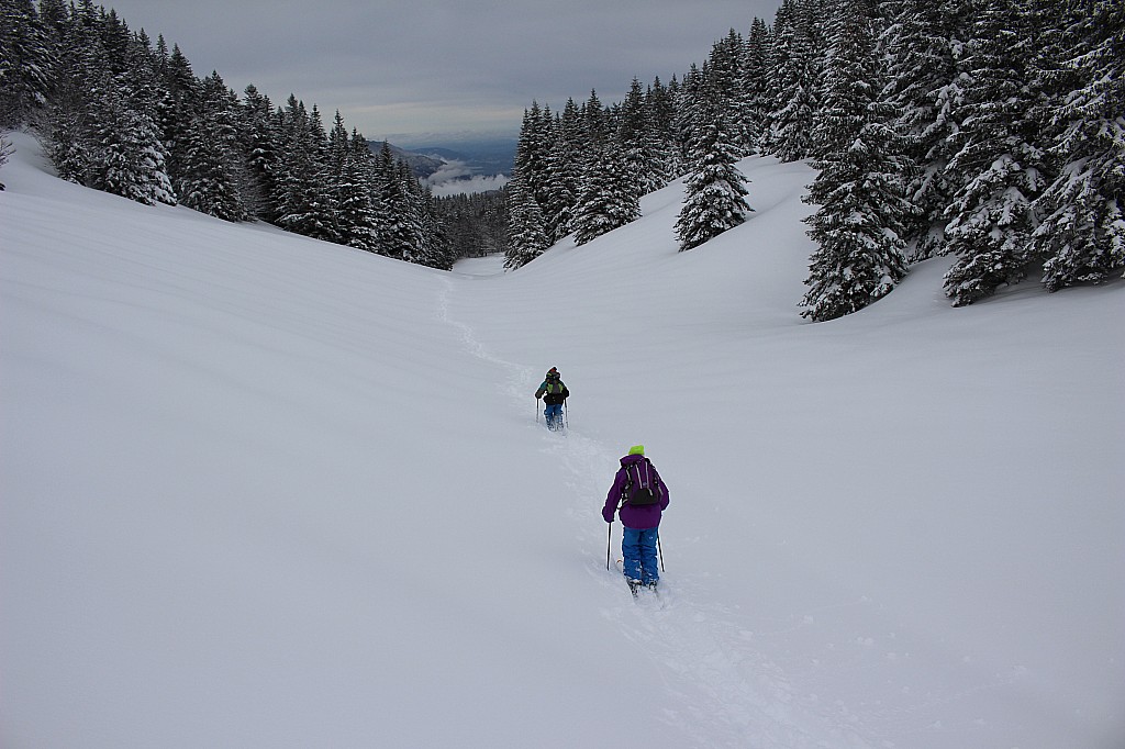 descente vers Tracol : belles clairières de l'Aliénard