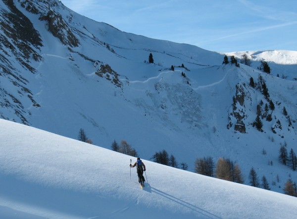 Plaque : Belle purge...