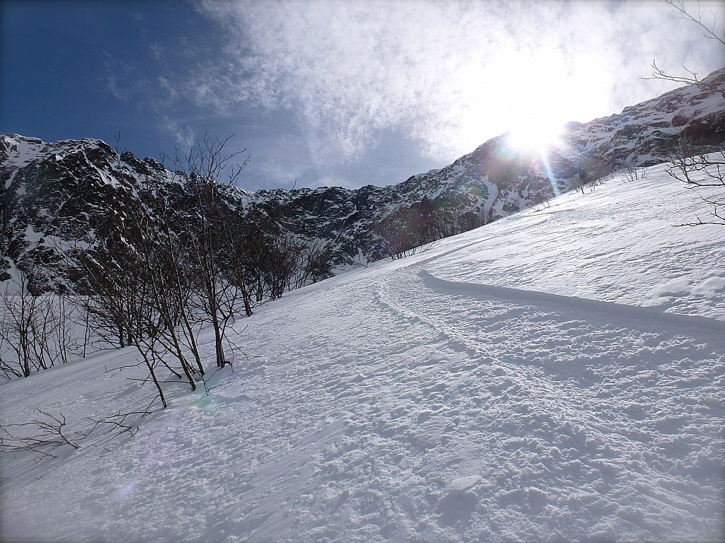 #6 Vernes du bas : RAS... Vernes du bas : RAS...