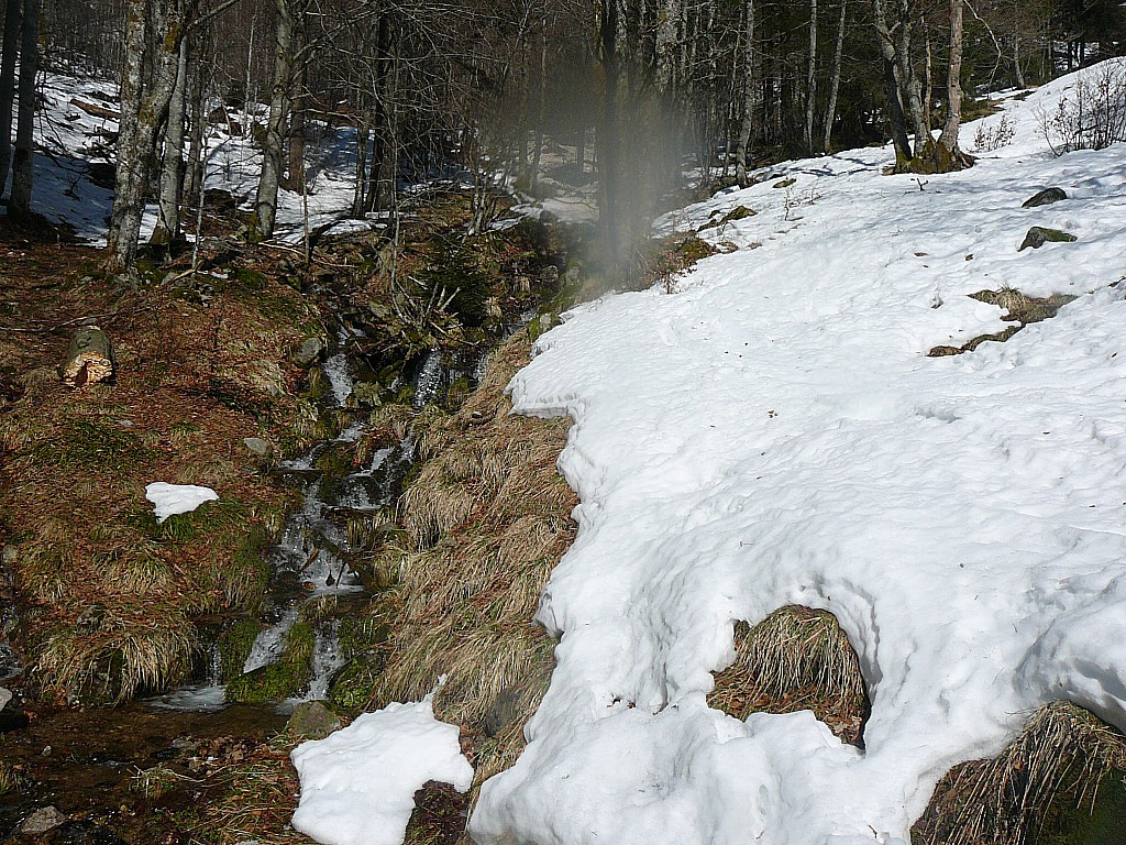Ravin de la Thur : C'est le printemps et la fin de la neige...