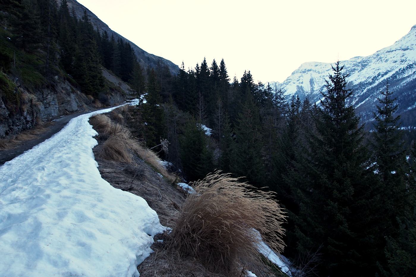 Route forestière des Grattais : Seule la route est enneigée.