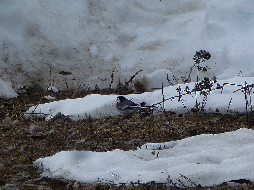 #2 Parking : Un visiteur Parking : Un visiteur