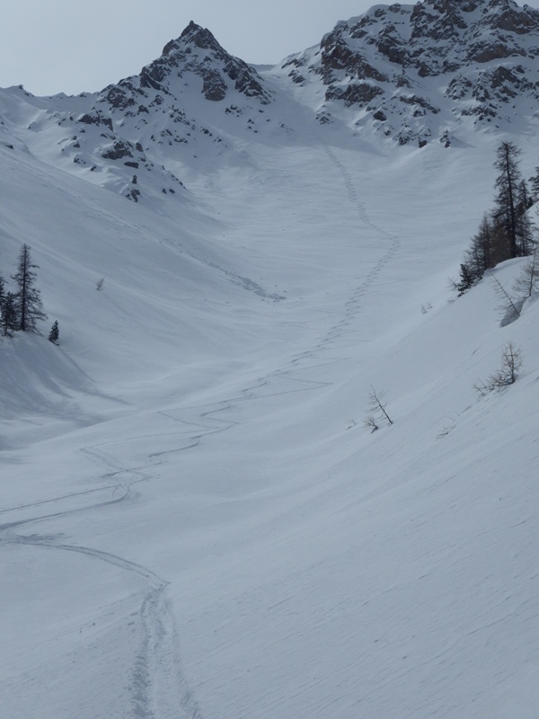 #5 Trop trop bon! Trop trop bon!