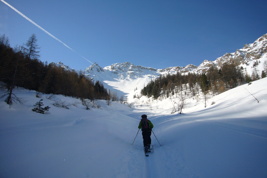 #2 On sort de la forêt On sort de la forêt