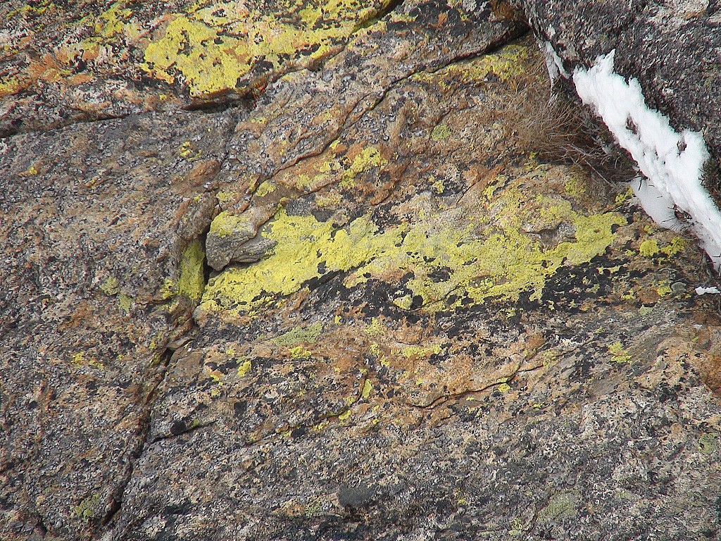 2ème descente de la Balme : Comme disait Jacques, cette année les lichens sont fluos !