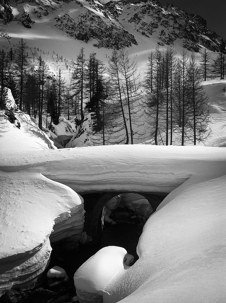 Vallon de la Valmasque : petit pont bien chargé