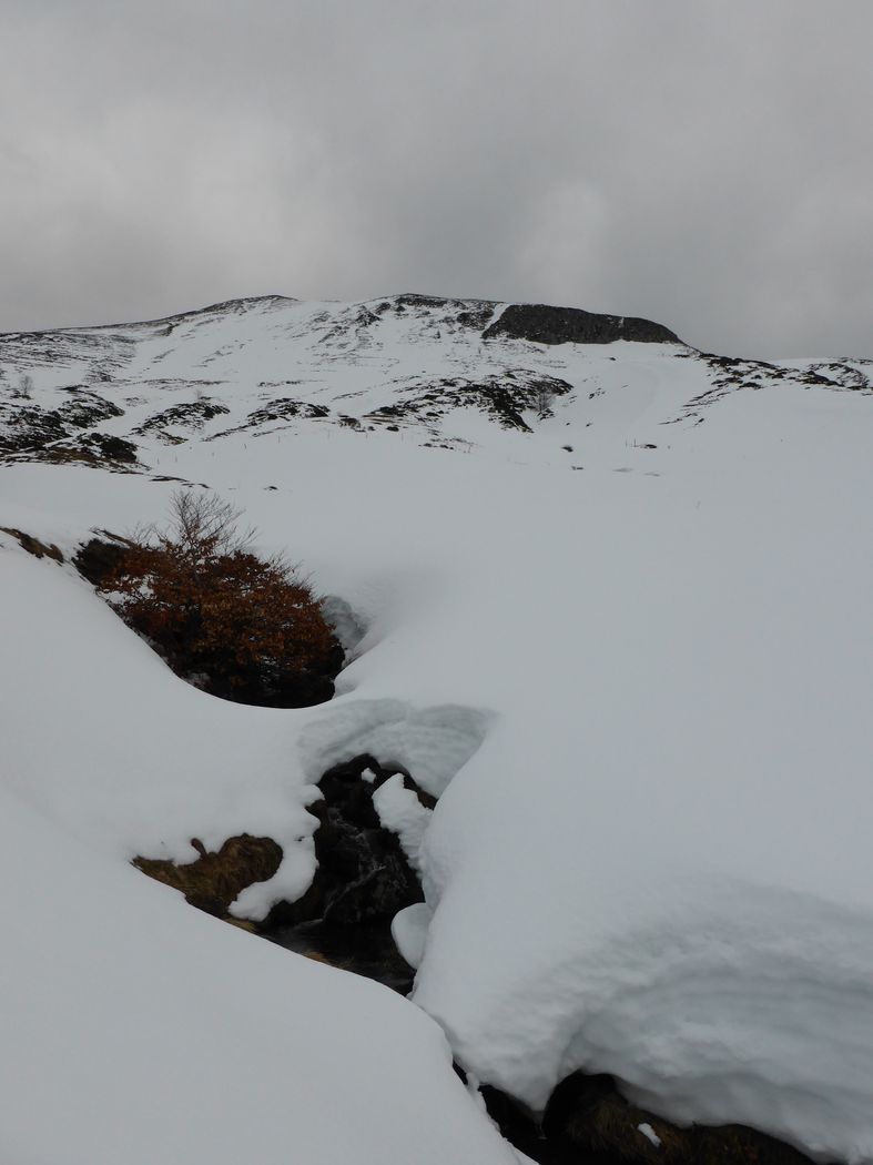 Rivière La Jordanne : Prenant sa source près du Puy de Bataillouse.