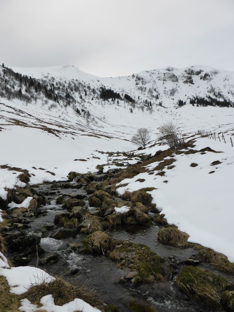 Rivière La Santoire : Cà y est, j'ai envie de ressortir la canne.