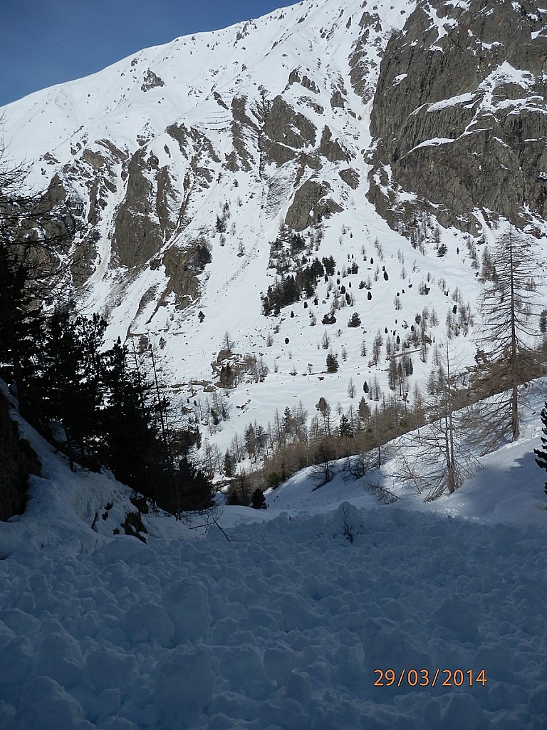 #3 Le bas du vallon de : l Le bas du vallon de : l'Empuonrame bien ravagé par cette coulée de neige