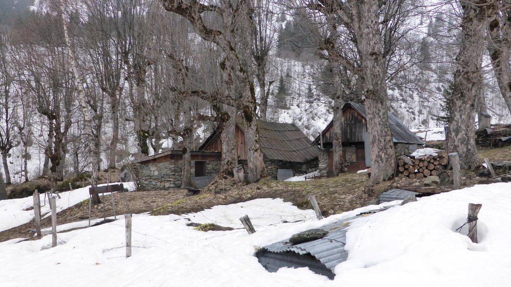 Le Tépey : Cà doit être vivant l'été!