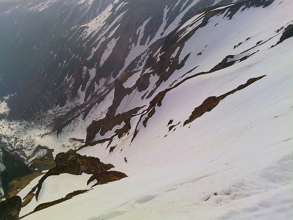 Ferrand directe : vue d'en haut on distingues quelques alpi qui brassent.