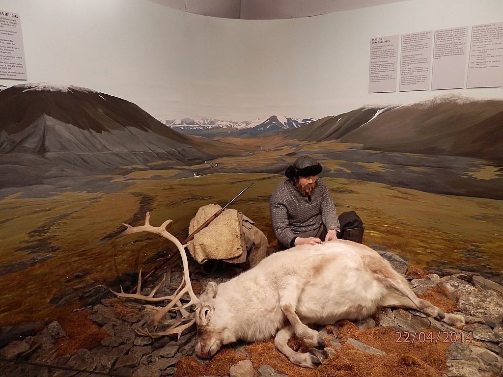 On s'y croirait : musée polaire de Tromso