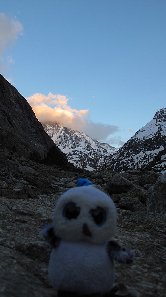 Huguette : Ce qui est top avec Huguette, c'est qu'elle fait pas trop de bruit! :)