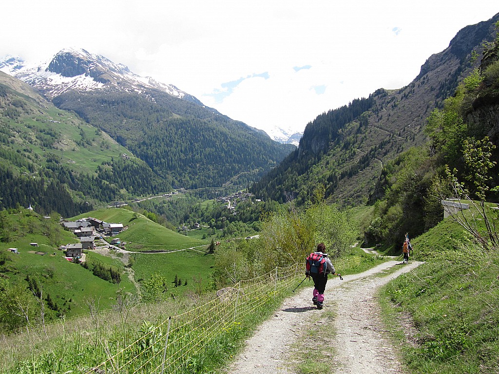 Changement de décor, : de couleurs. L'été succéde à l'hiver...