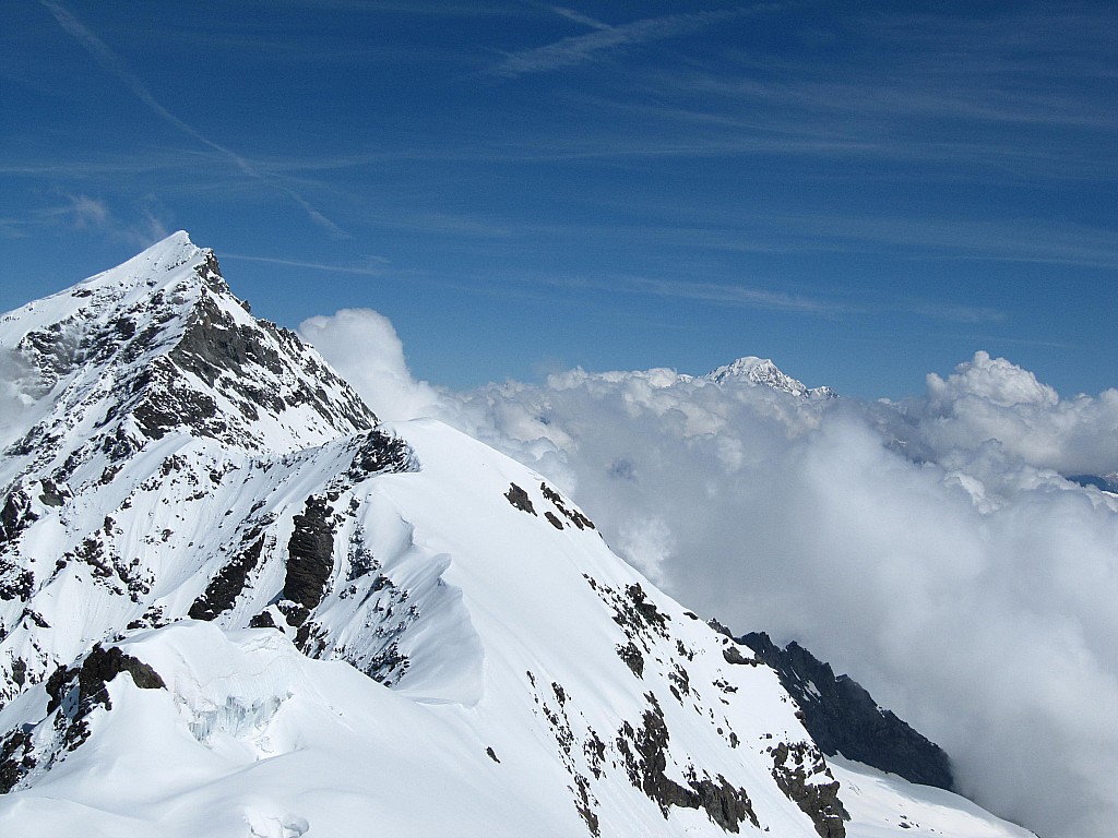 Le Mont Pourri : et le Mont Blanc.
