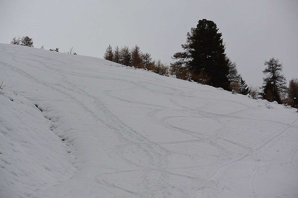 #9 côte 2000 : l côte 2000 : l'enneigement commence à être bon à ce niveau