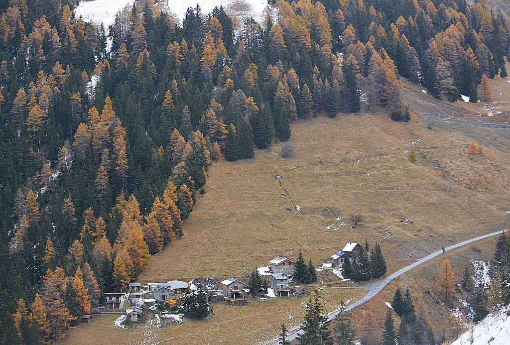 #13 Au retour : paysage automnal Au retour : paysage automnal