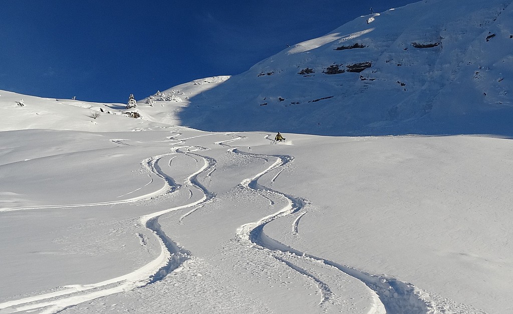 Merdassier : Milieu.