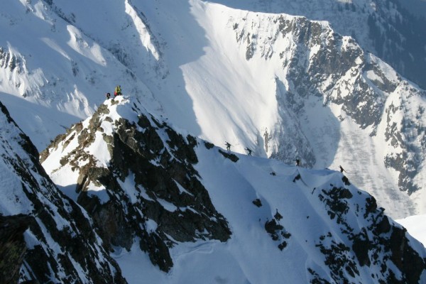 vus du sommet : les mêmes chamois