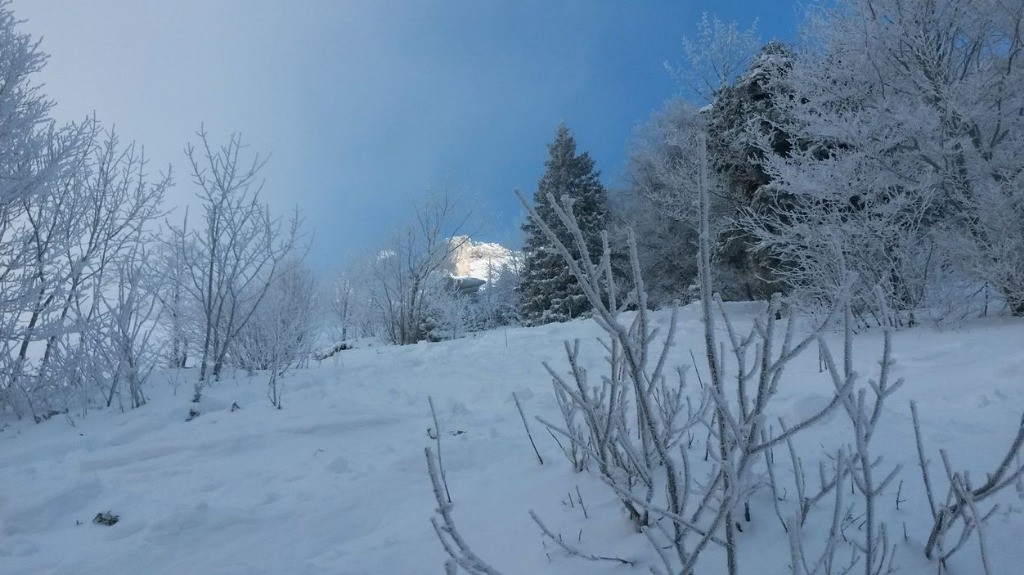 Sommet vue en sortant du bois