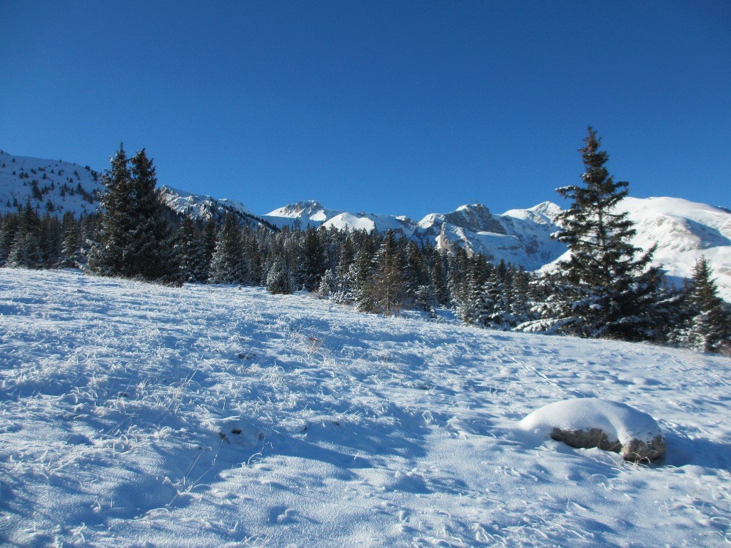Les herbes sont longues ici où il n'y a pas beaucoup de neige?