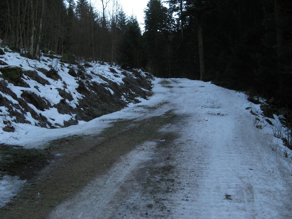 Etat de la piste de la Basse des Rupts vers 850m