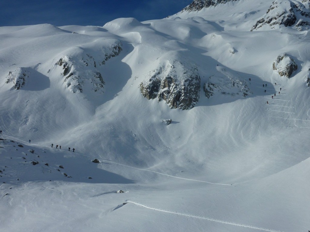Ca se bouscule pour le Rognolet