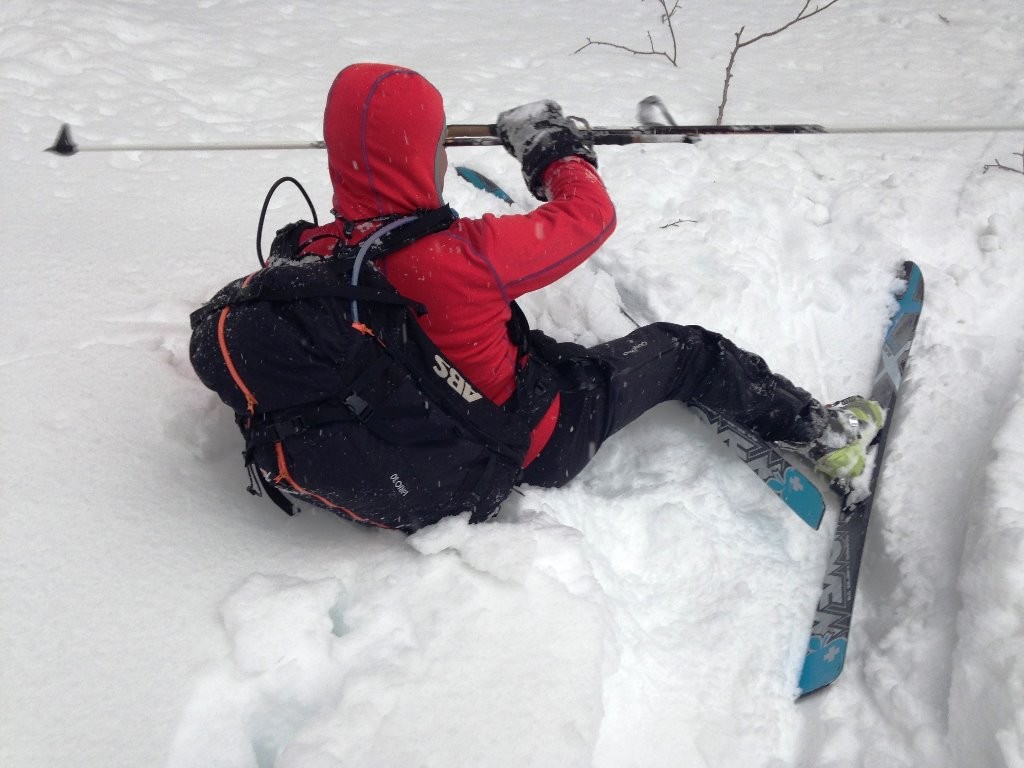 Chute à l'arrêt ... du pur style bidochon, cf commentaire du Dôme de Bellefont en mars 2014  ;-)