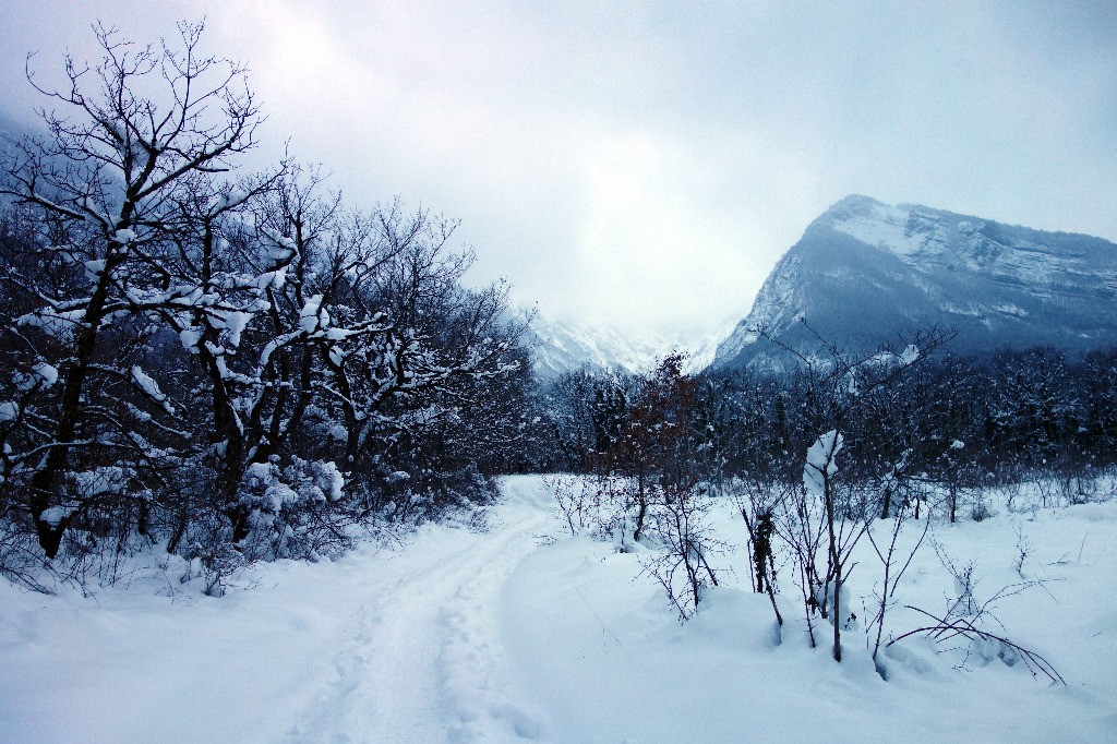 #1 Un bel enneigement dès le départ... Un bel enneigement dès le départ...