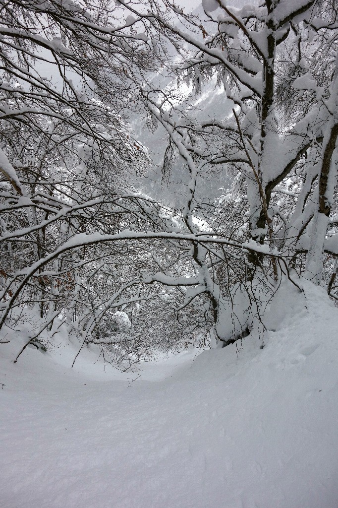 #9 Trouée vierge à la descente... Trouée vierge à la descente...