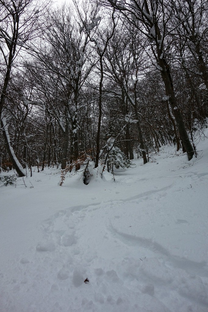 #11 Neige souple et agréable... Neige souple et agréable...