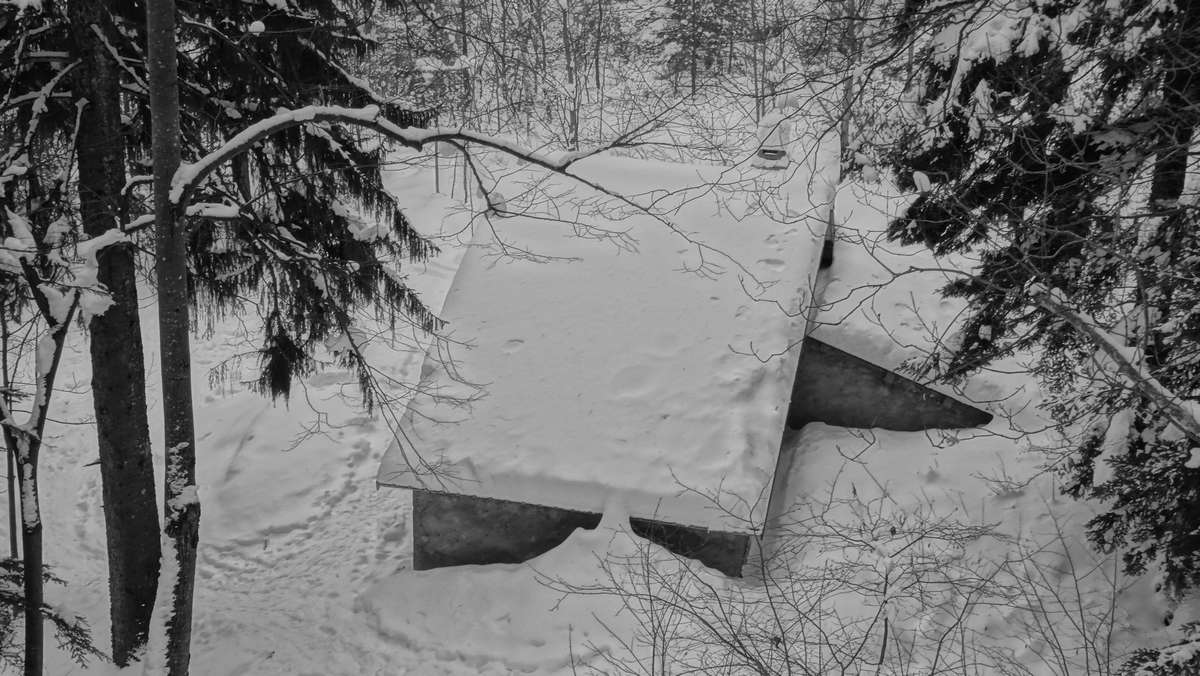 #13 belles quantités à la cabane forestière belles quantités à la cabane forestière