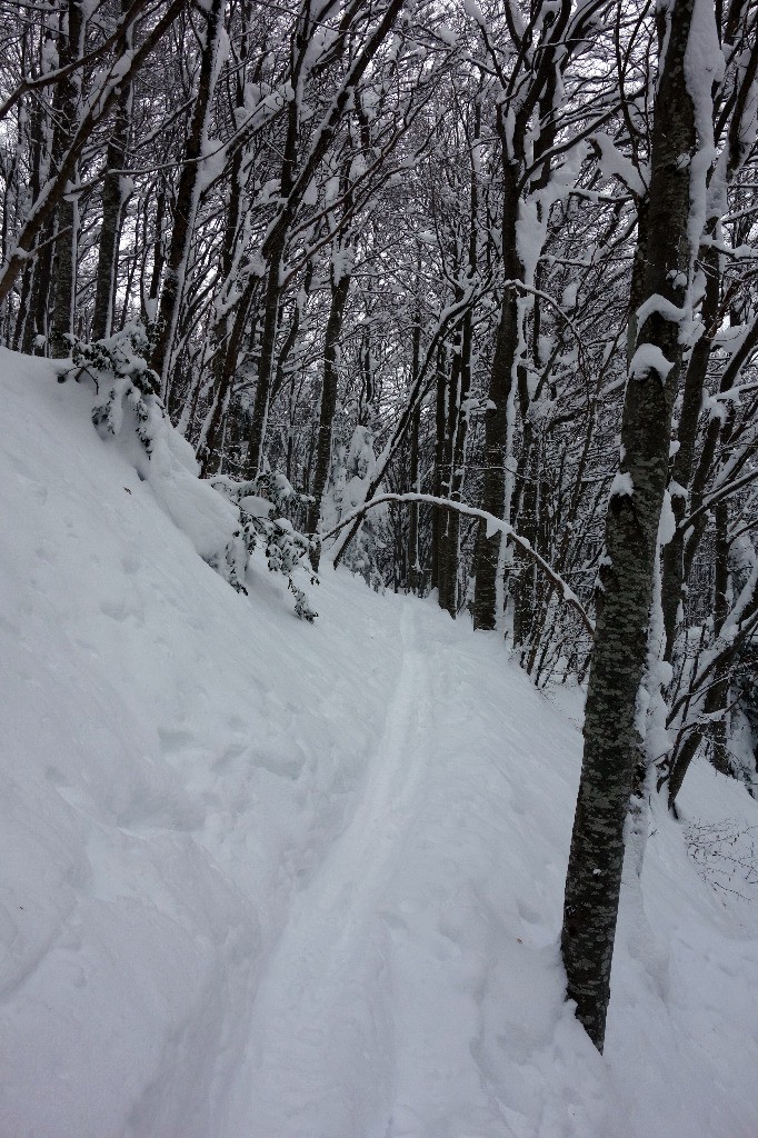 #6 Merci pour la trace (ils ont dû en ch...!)... Merci pour la trace (ils ont dû en ch...!)...