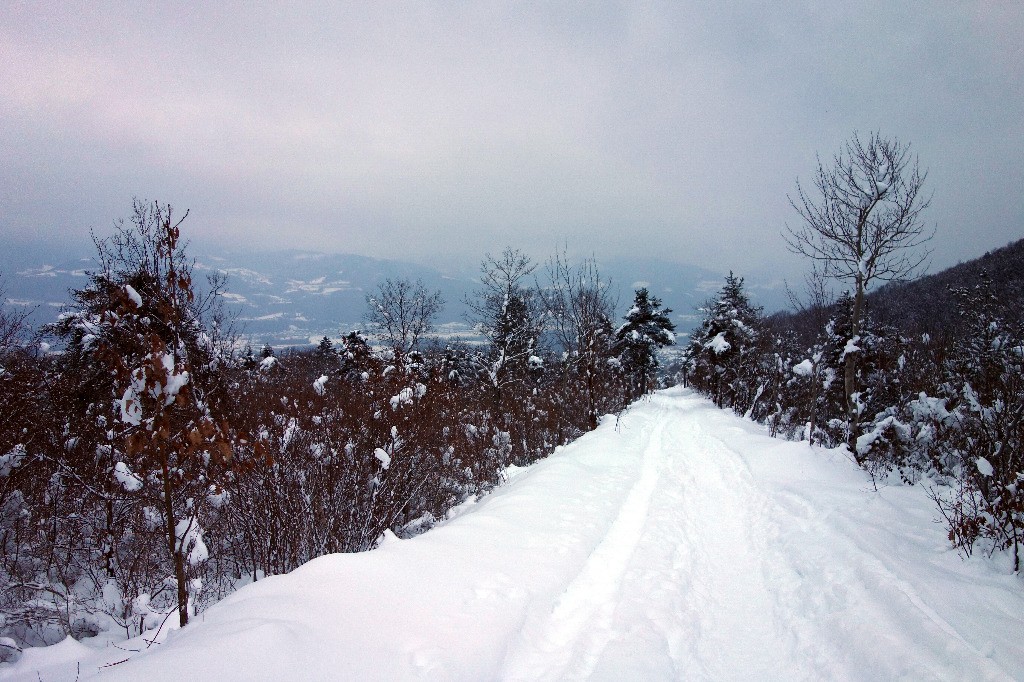 #3 Piste d Piste d'accès roulante à souhait...
