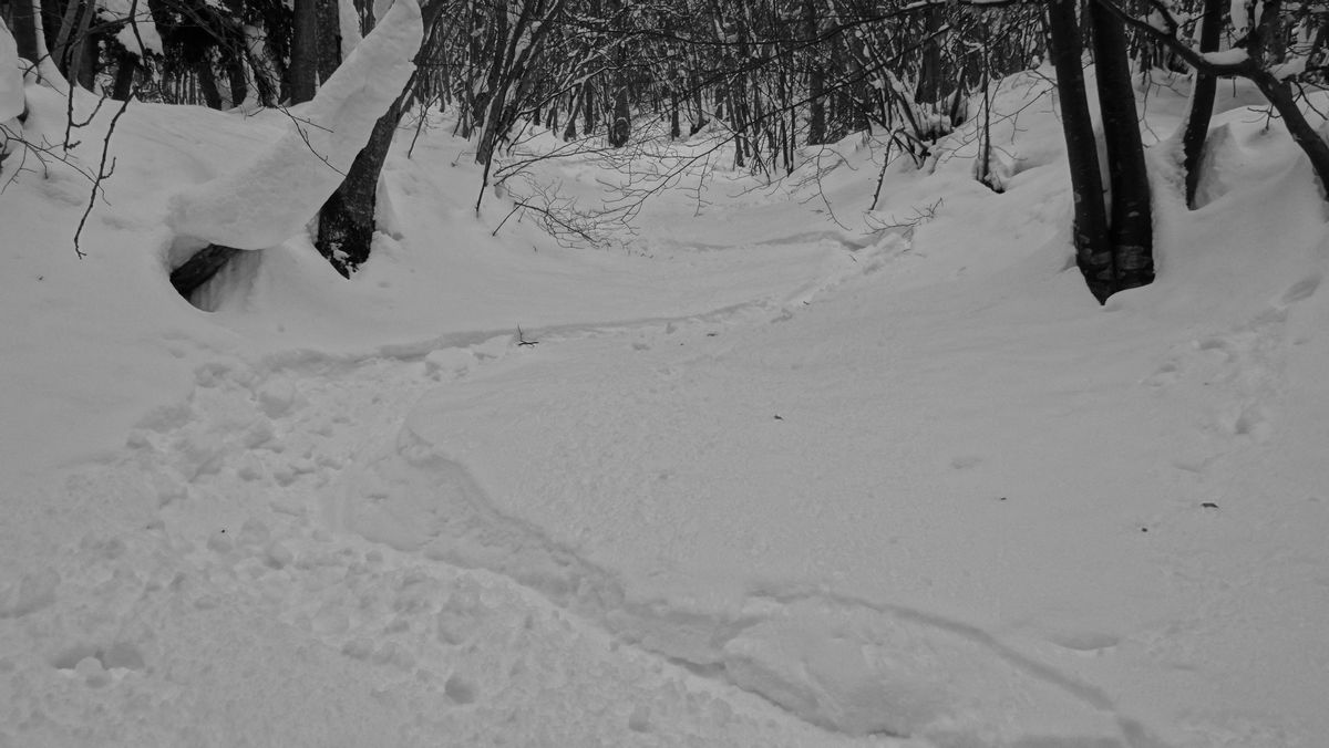 #16 Encore une draye vierge ! Encore une draye vierge !