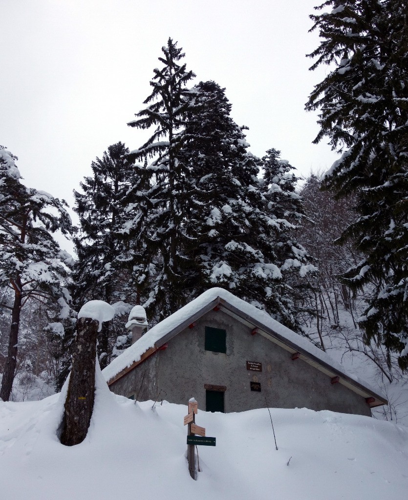 #4 Sous la cabane forestière... Sous la cabane forestière...