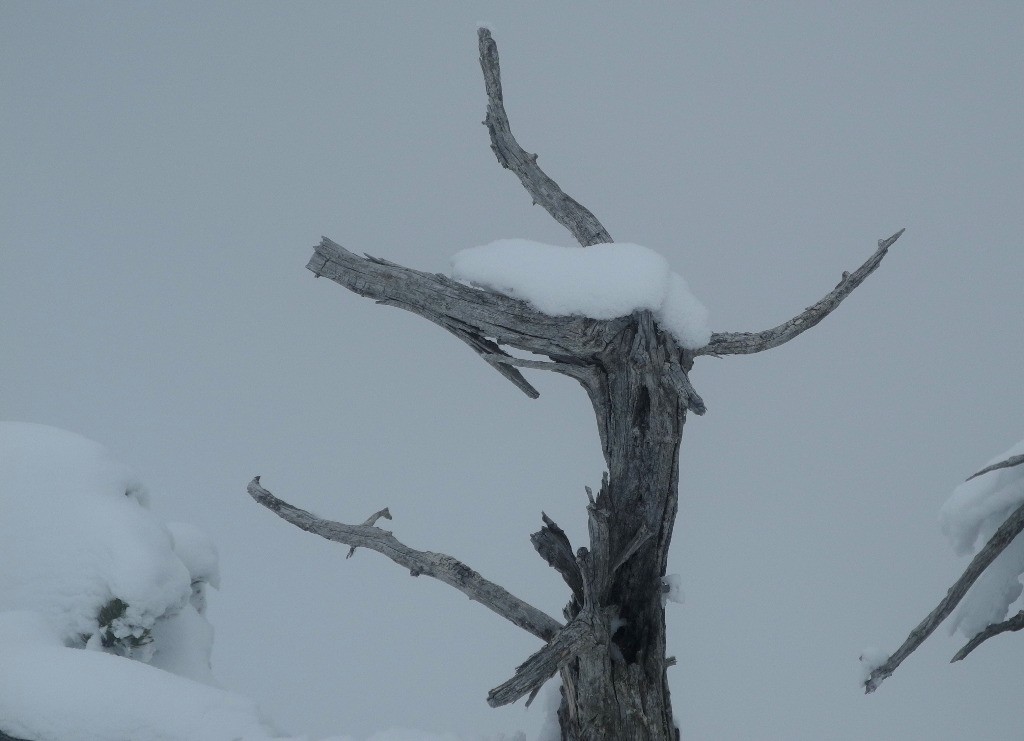 Sommet: vue magnifique