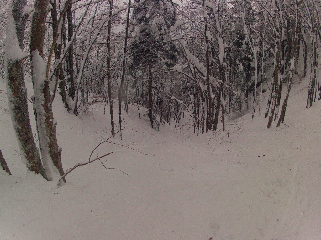 Dans le couloir des Chênaies