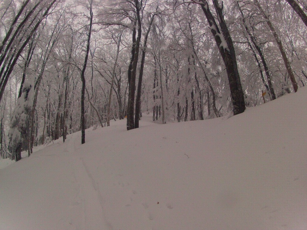 Arrivé aux Quatre Chemins