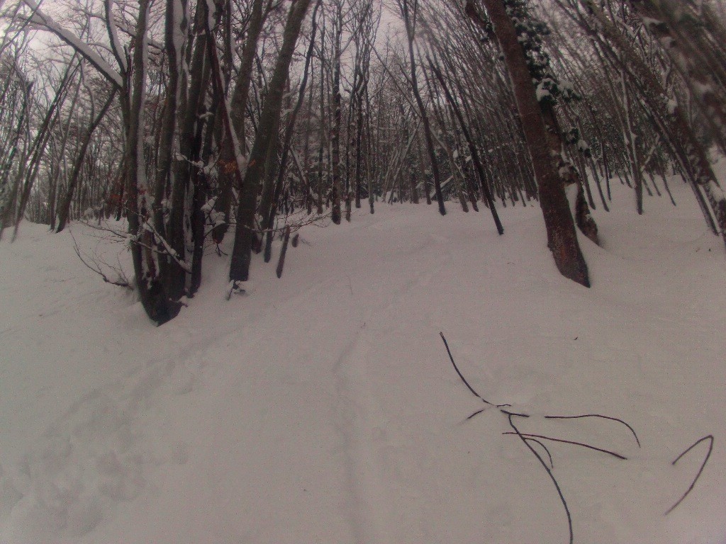 D'excellents passages !