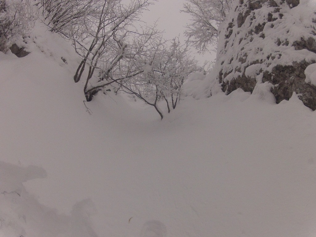 gros brassage en perspective ...