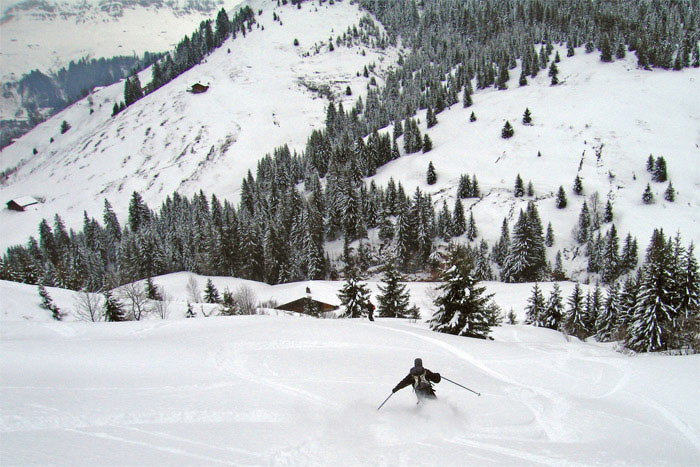 L'Eperon : Le Vallon du Jaillet.